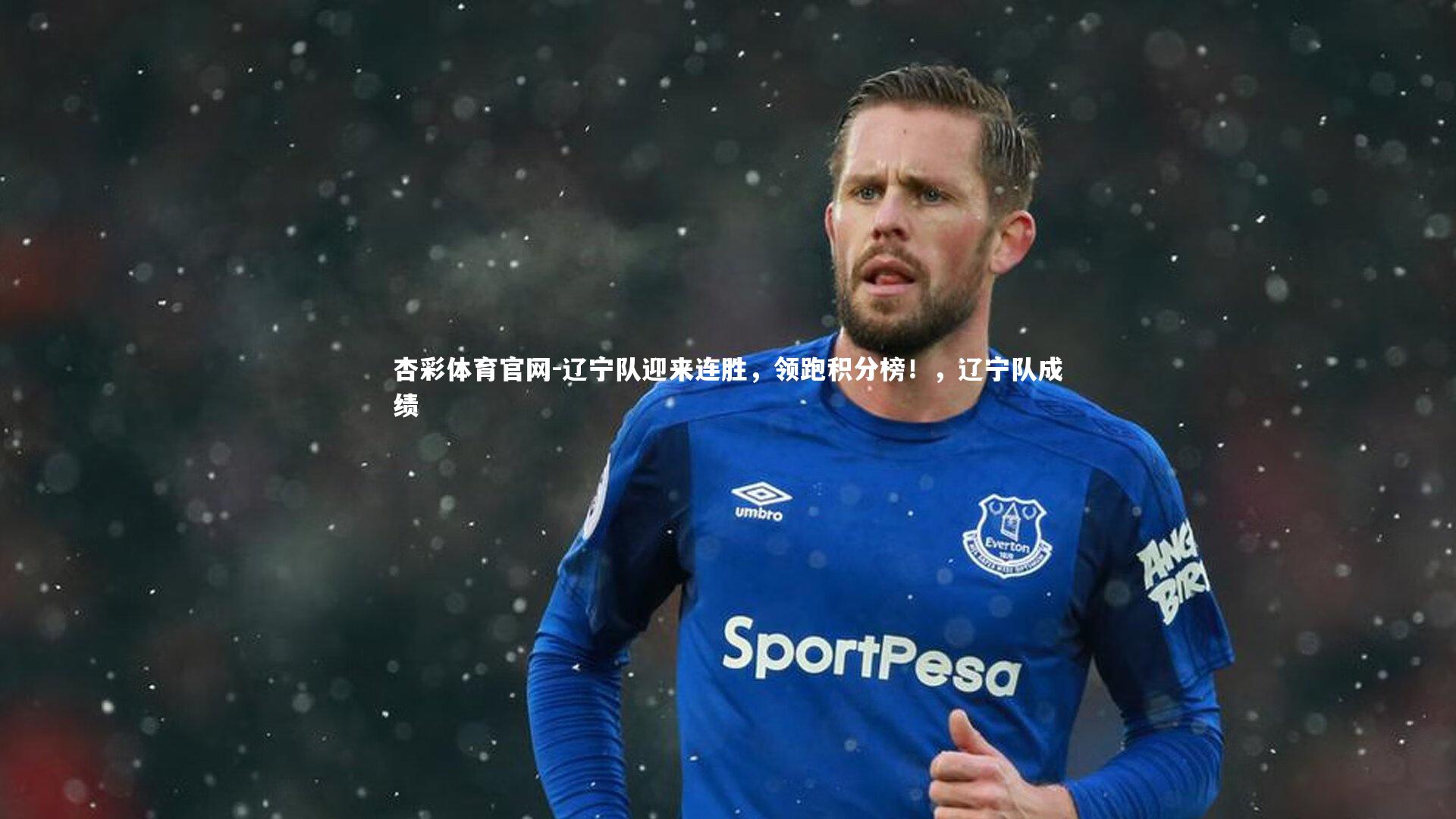 辽宁队迎来连胜,领跑积分榜!,辽宁队成绩