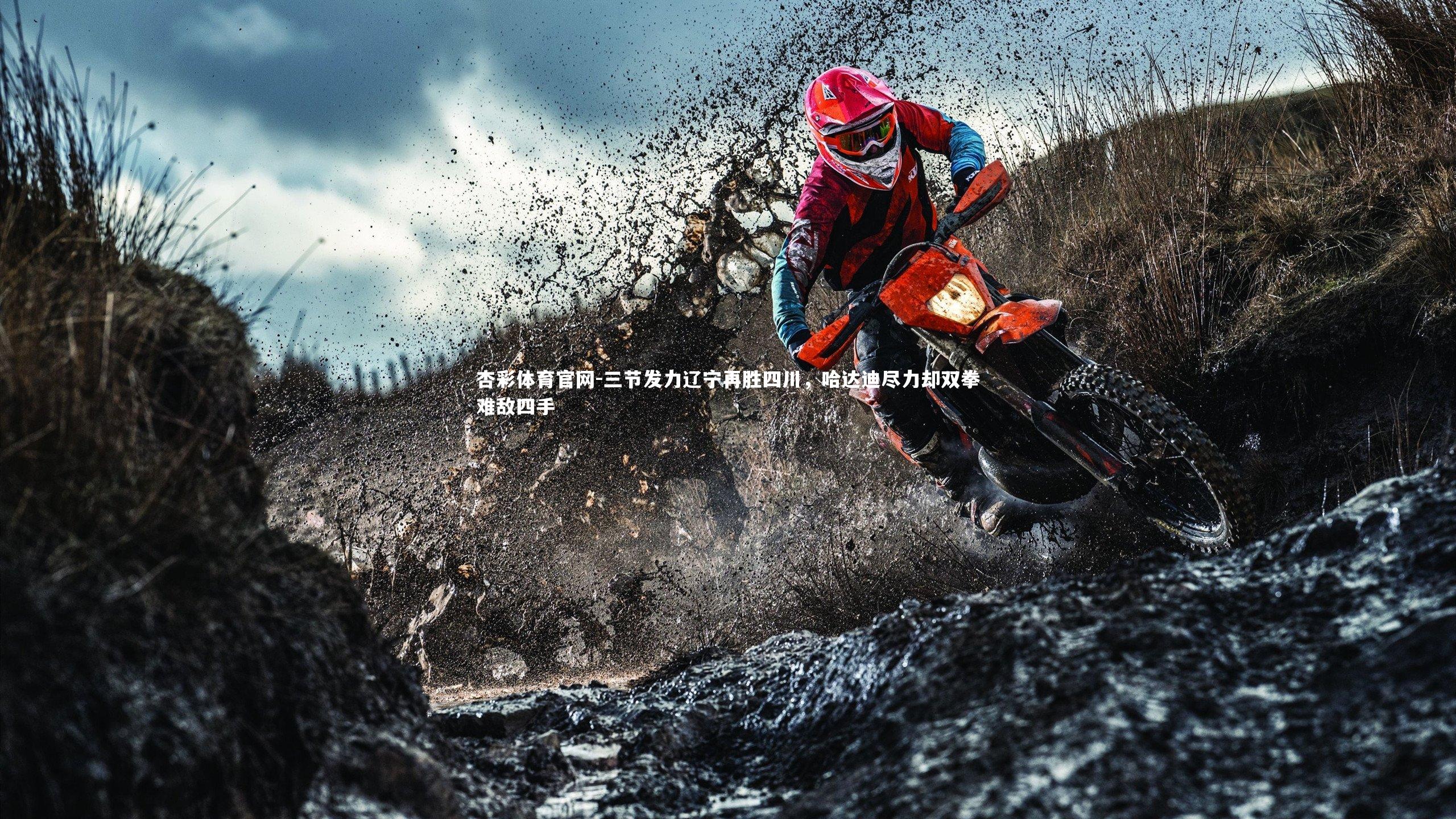 三节发力辽宁再胜四川,哈达迪尽力却双拳难敌四手